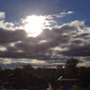 Meet your Posher, Randall